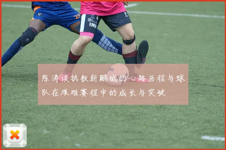 陈涛谈执教新鹏城的心路历程与球队在艰难赛程中的成长与突破