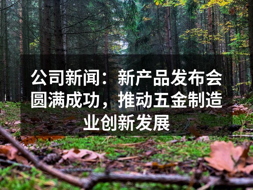 新产品发布会现场热闹非凡