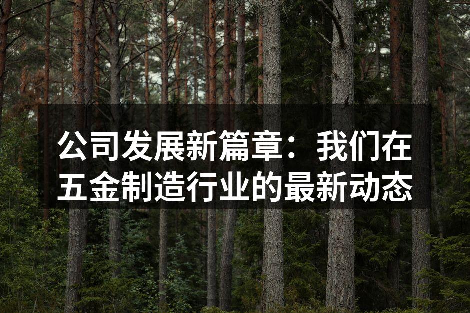 公司新引进的先进设备